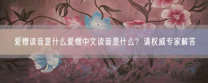 爱憎读音是什么爱憎中文读音是什么？请权威专家解答