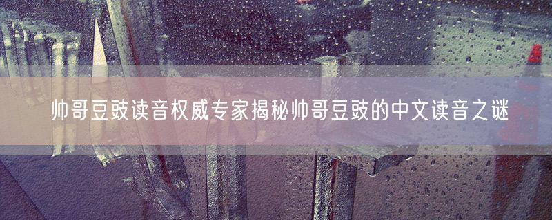 帅哥豆豉读音权威专家揭秘帅哥豆豉的中文读音之谜